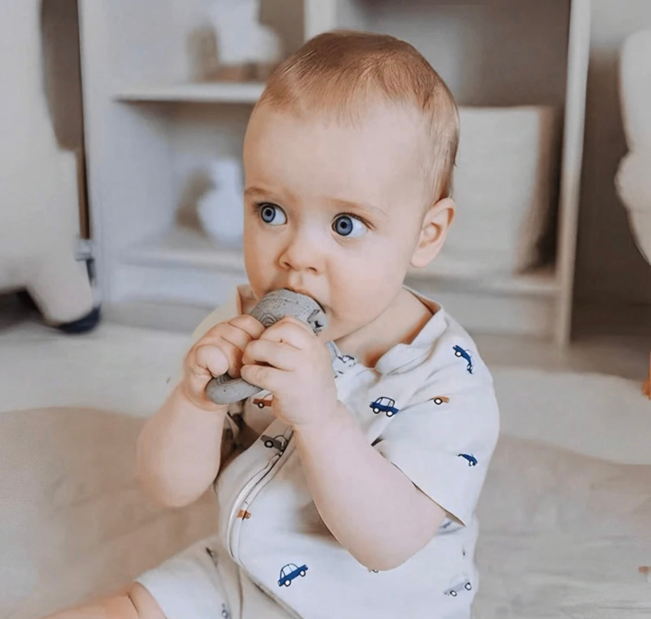 Fruit Feeder Pacifier