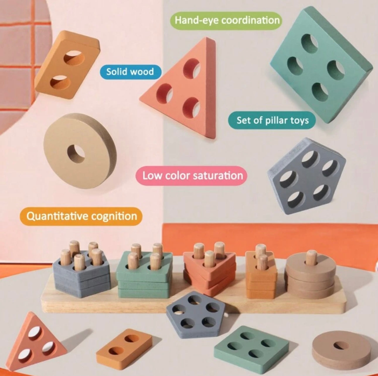 Montessori Shape & Colour Puzzle